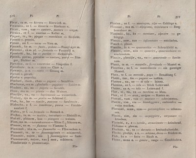 ricsoslovnik 232
