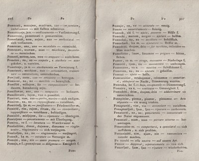 ricsoslovnik 242
