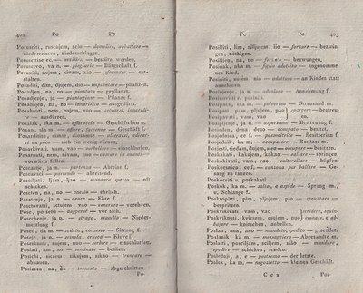 ricsoslovnik 245