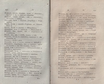 ricsoslovnik 260