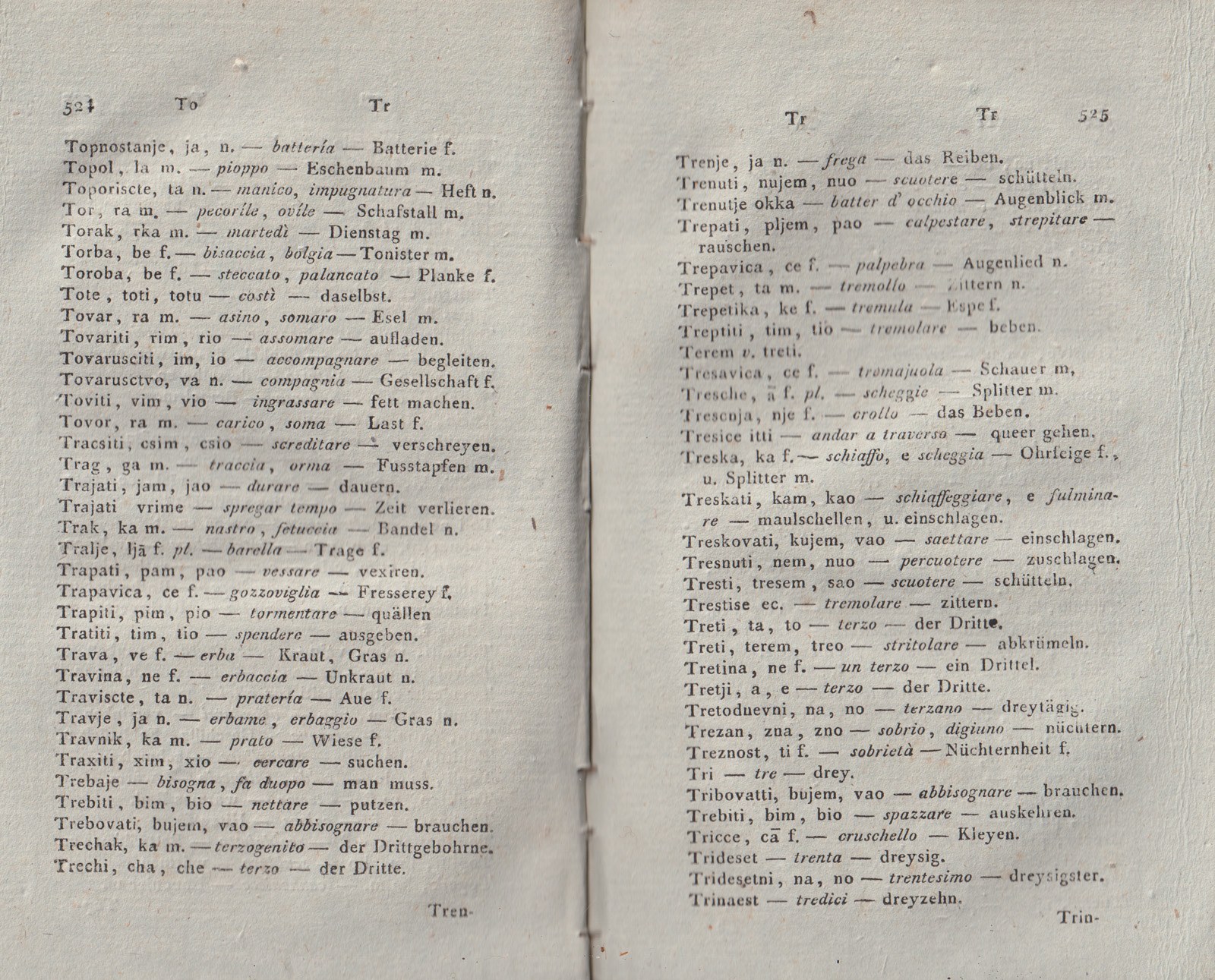 ricsoslovnik 305