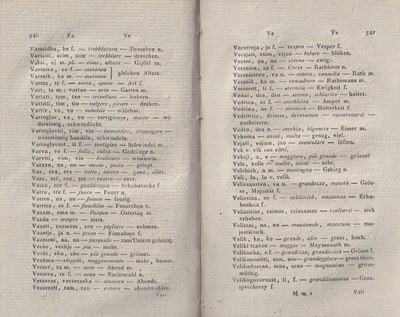 ricsoslovnik 316