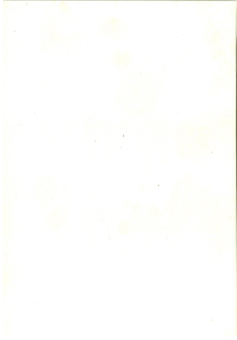 Stranica 31