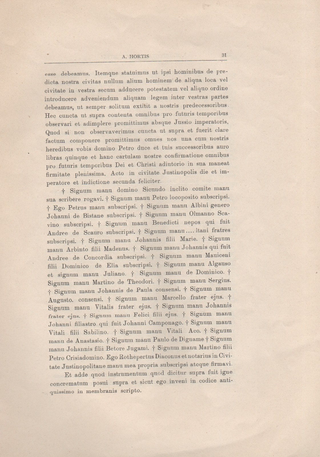 tomaso 24