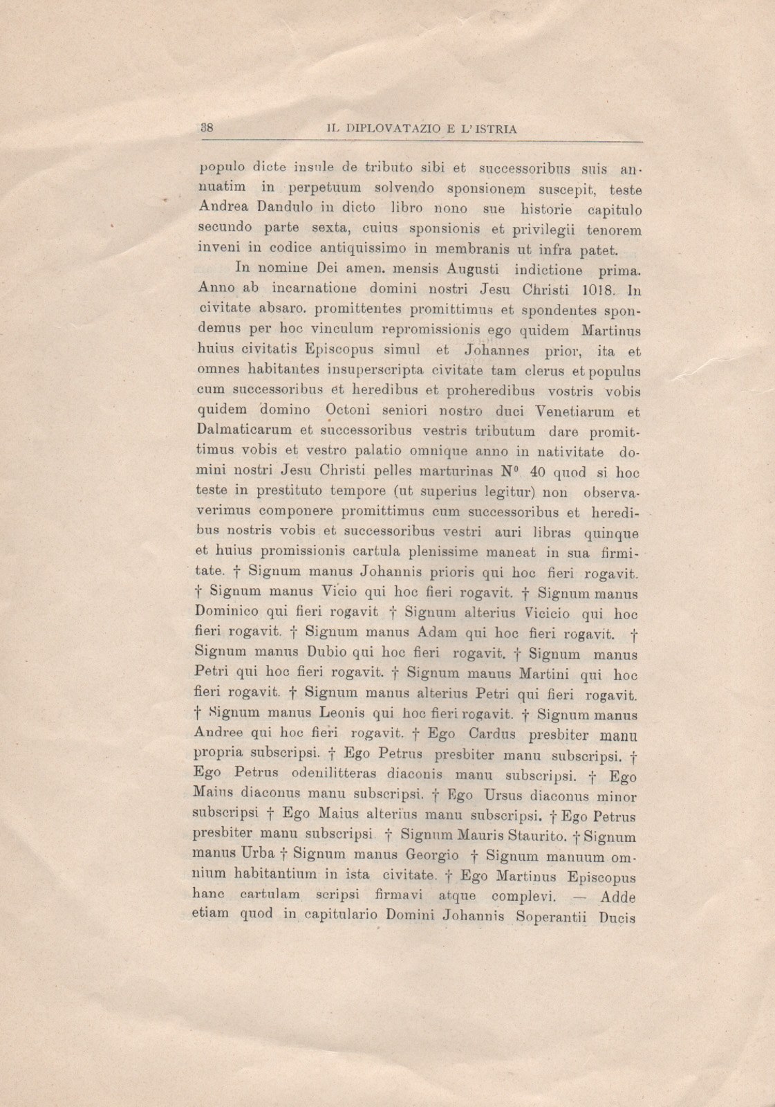 tomaso 31