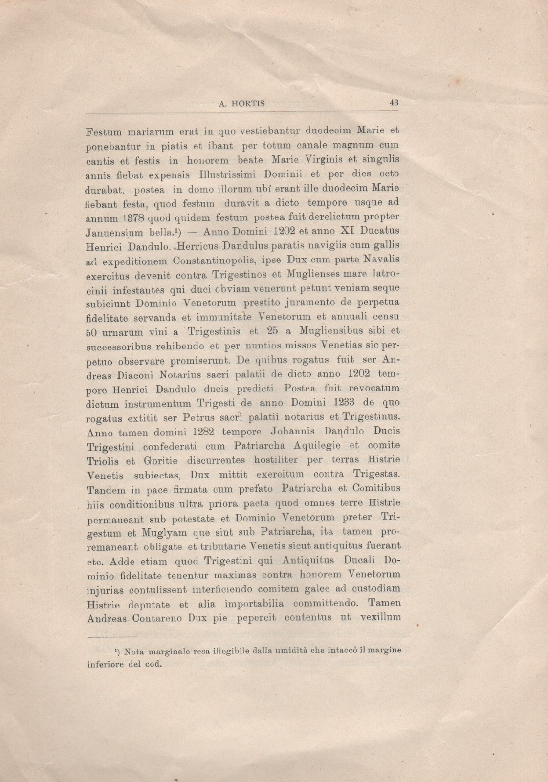 tomaso 36